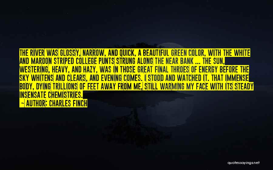 A Beautiful Evening Quotes By Charles Finch