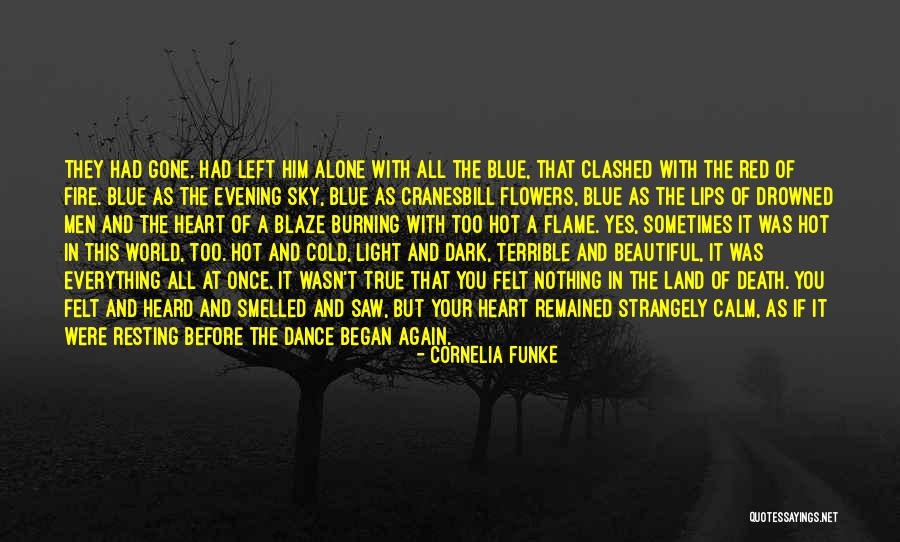 A Beautiful Evening Quotes By Cornelia Funke