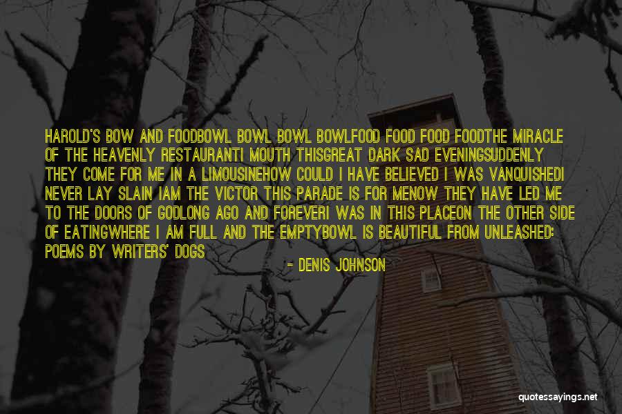 A Beautiful Evening Quotes By Denis Johnson A Beautiful Evening Quotes By Denis Johnson