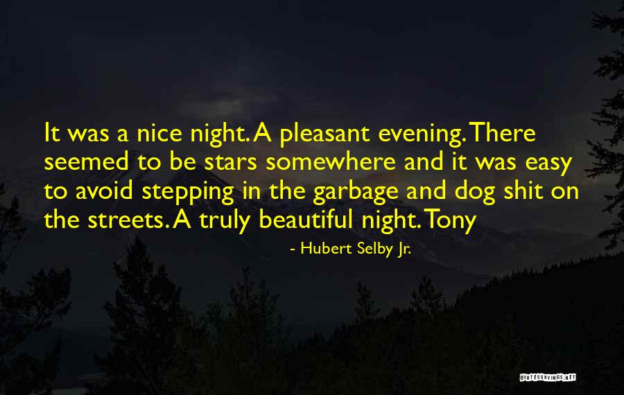 A Beautiful Evening Quotes By Hubert Selby Jr. A Beautiful Evening Quotes By Hubert Selby Jr.