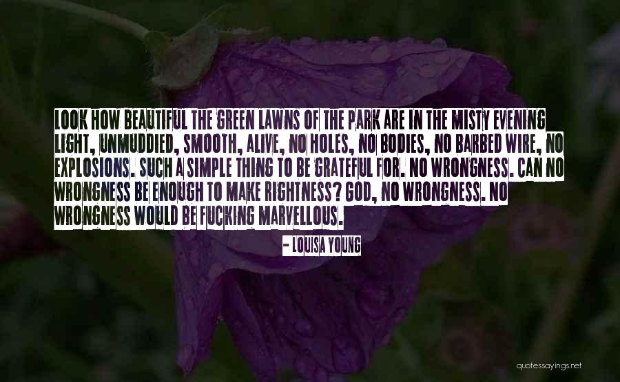 A Beautiful Evening Quotes By Louisa Young