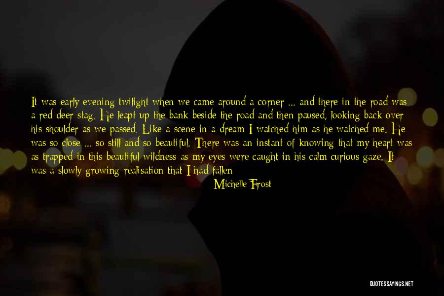 A Beautiful Evening Quotes By Michelle Frost A Beautiful Evening Quotes By Michelle Frost