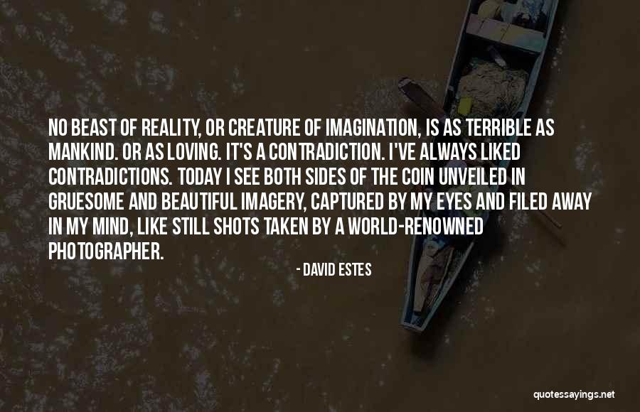 A Beautiful Eyes Quotes By David Estes