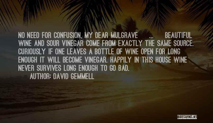 A Beautiful House Quotes By David Gemmell