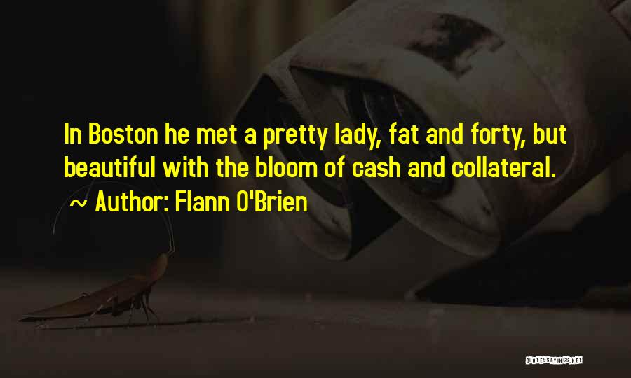 A Beautiful Lady Quotes By Flann O'Brien