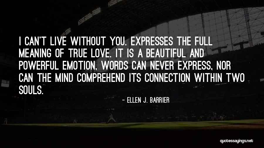 A Beautiful Mind Full Quotes By Ellen J. Barrier A Beautiful Mind Full Quotes By Ellen J. Barrier