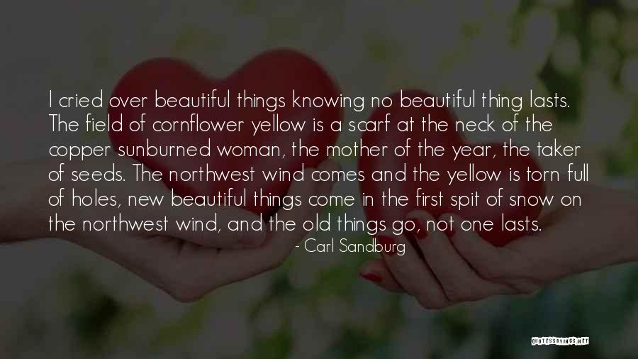 A Beautiful Mother Quotes By Carl Sandburg A Beautiful Mother Quotes By Carl Sandburg