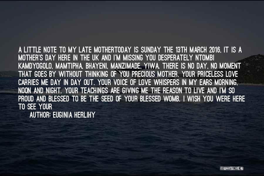 A Beautiful Mother Quotes By Euginia Herlihy