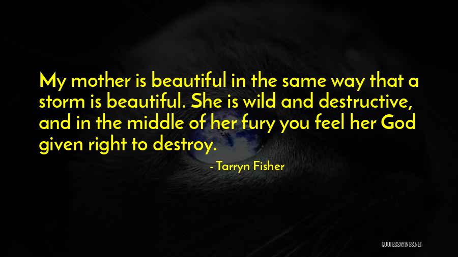 A Beautiful Mother Quotes By Tarryn Fisher A Beautiful Mother Quotes By Tarryn Fisher