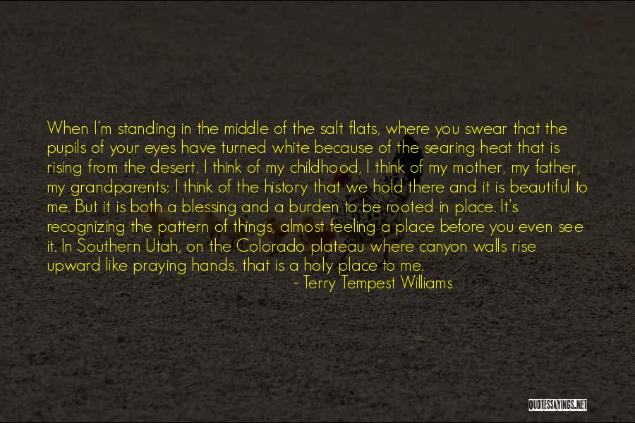 A Beautiful Mother Quotes By Terry Tempest Williams A Beautiful Mother Quotes By Terry Tempest Williams