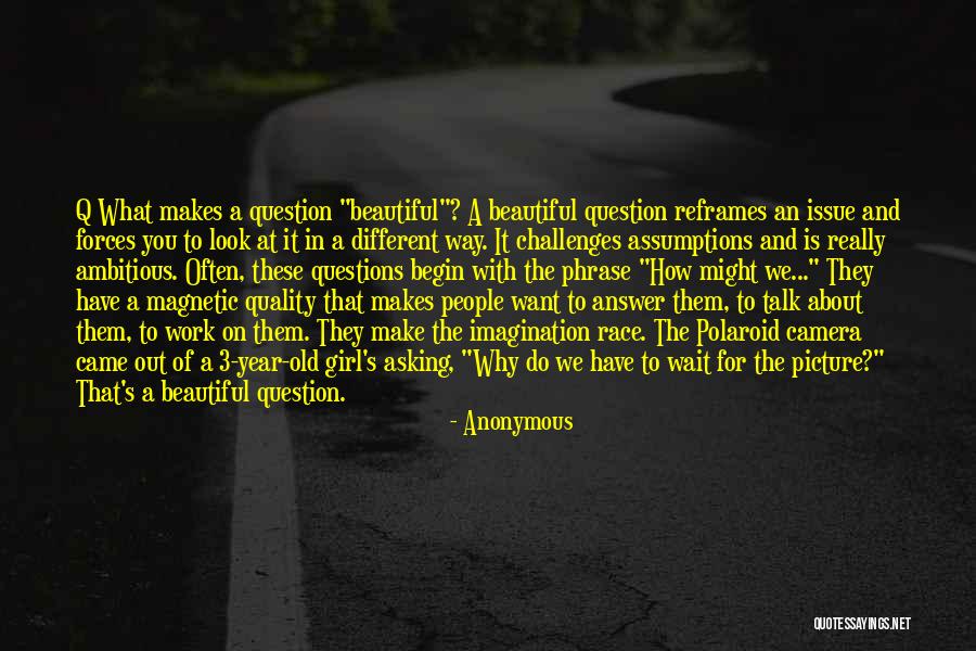 A Beautiful Picture Quotes By Anonymous