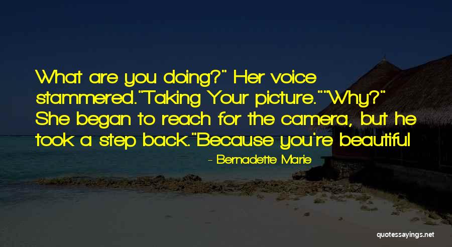 A Beautiful Picture Quotes By Bernadette Marie