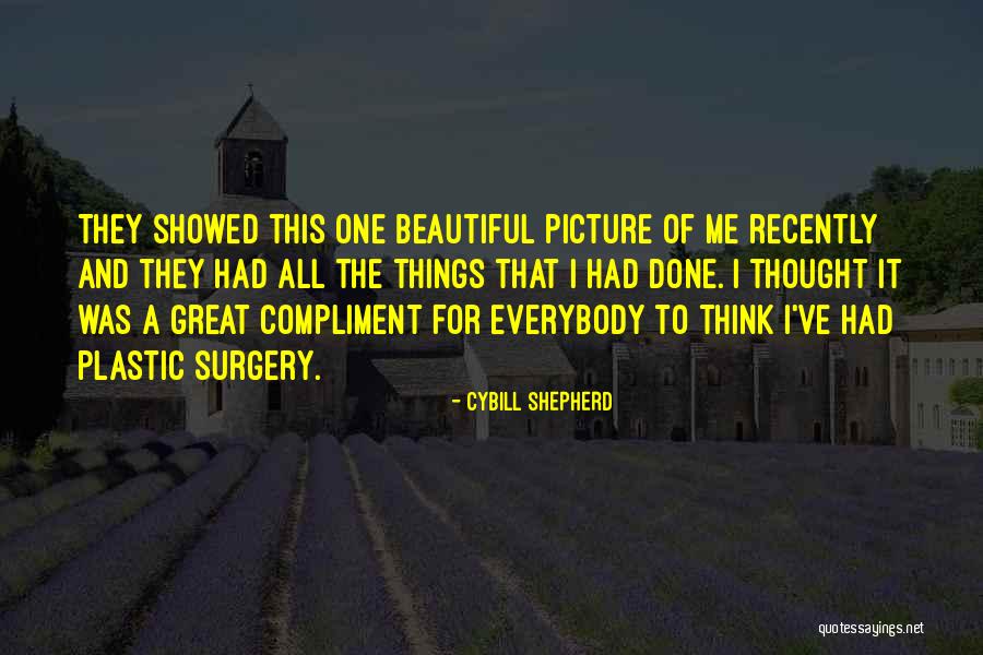 A Beautiful Picture Quotes By Cybill Shepherd