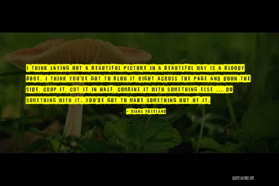A Beautiful Picture Quotes By Diana Vreeland A Beautiful Picture Quotes By Diana Vreeland