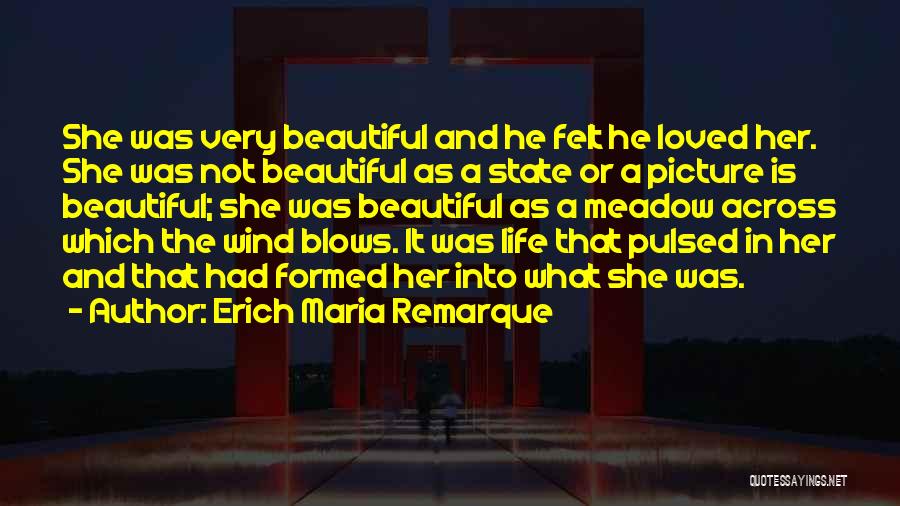 A Beautiful Picture Quotes By Erich Maria Remarque