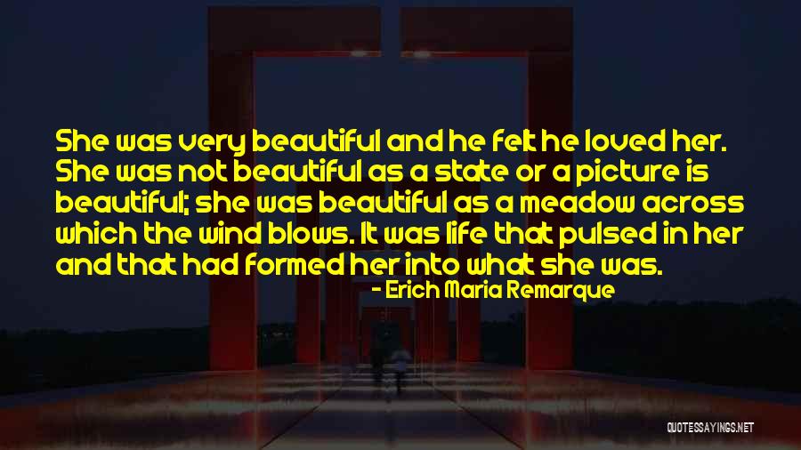 A Beautiful Picture Quotes By Erich Maria Remarque