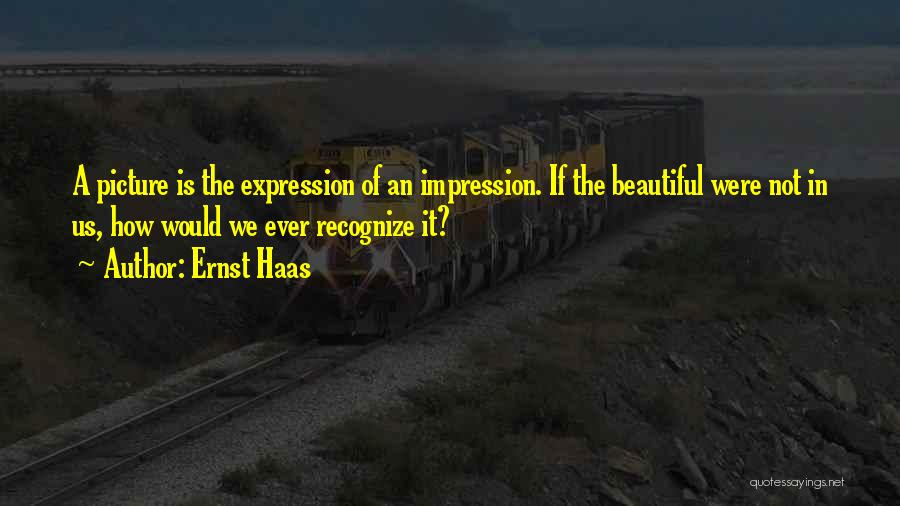 A Beautiful Picture Quotes By Ernst Haas