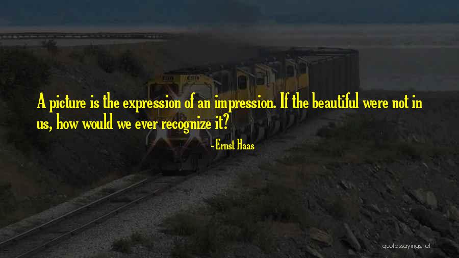 A Beautiful Picture Quotes By Ernst Haas