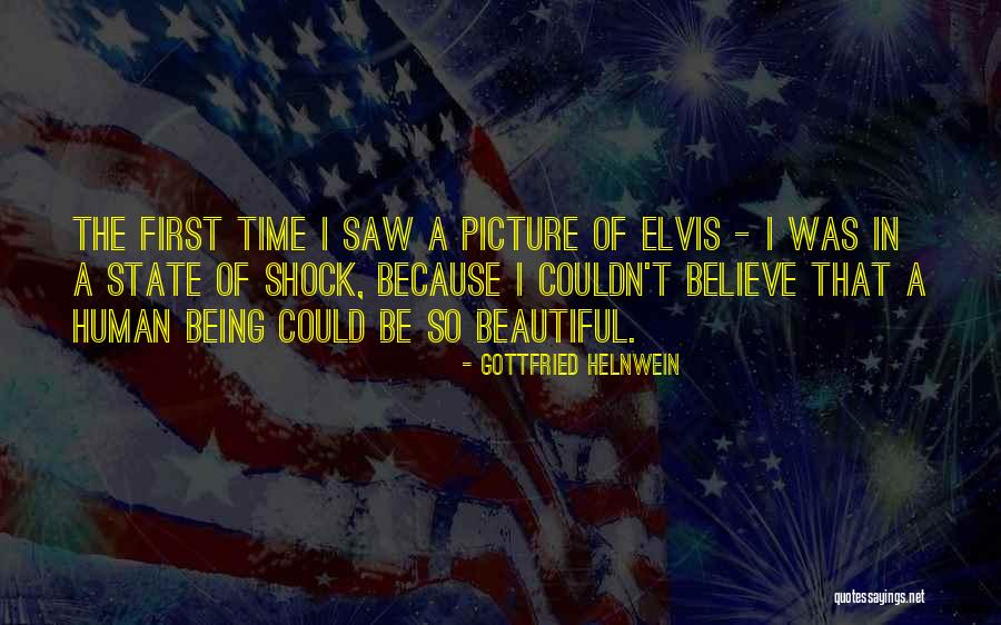 A Beautiful Picture Quotes By Gottfried Helnwein A Beautiful Picture Quotes By Gottfried Helnwein