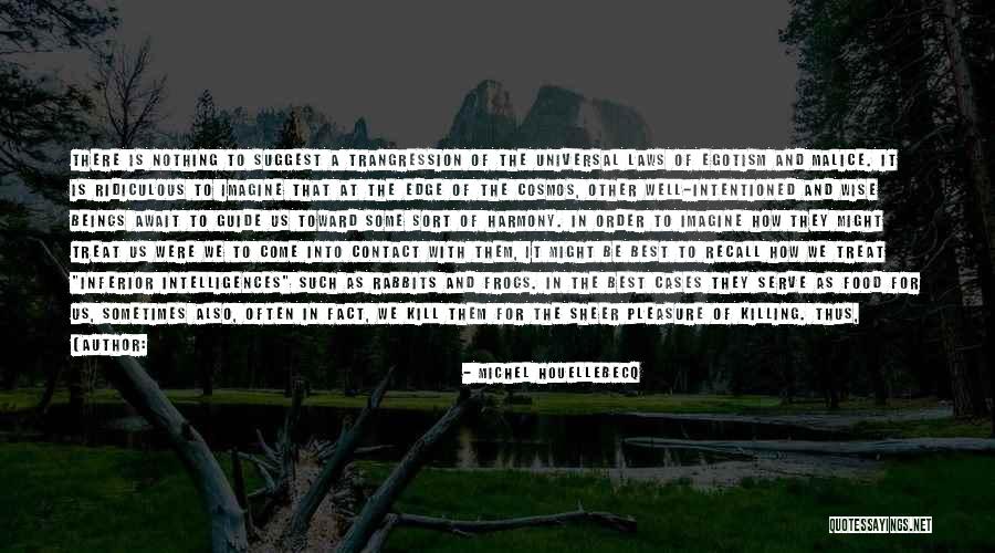 A Beautiful Picture Quotes By Michel Houellebecq