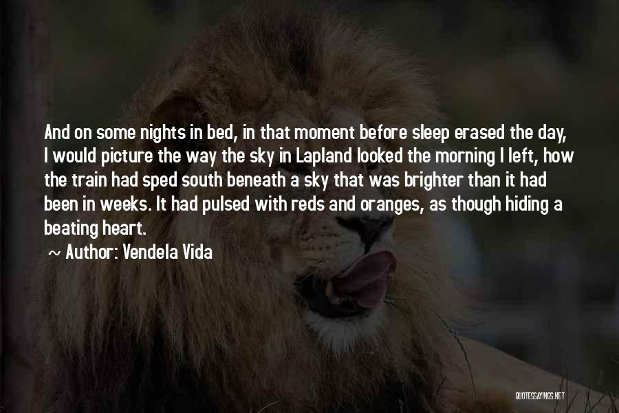 A Beautiful Picture Quotes By Vendela Vida