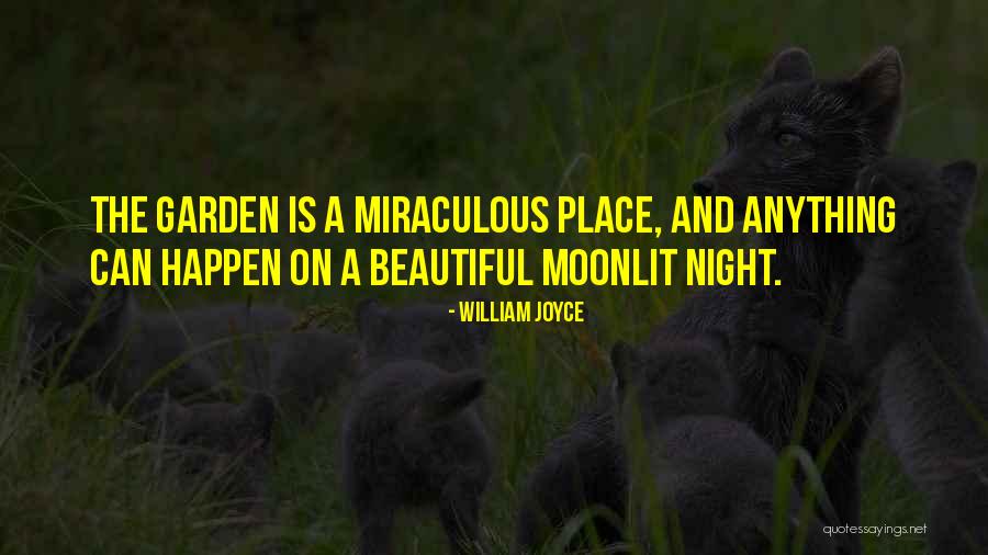 A Beautiful Place Quotes By William Joyce