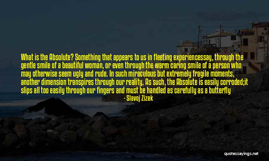 A Beautiful Smile Quotes By Slavoj Zizek