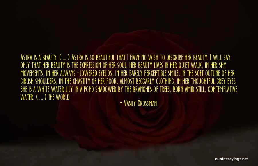 A Beautiful Smile Quotes By Vasily Grossman