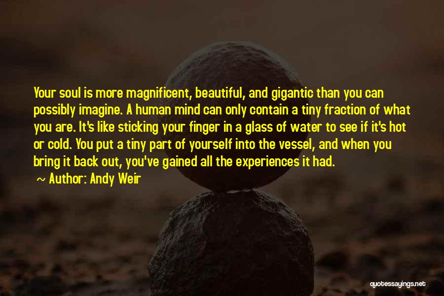 A Beautiful Soul Quotes By Andy Weir