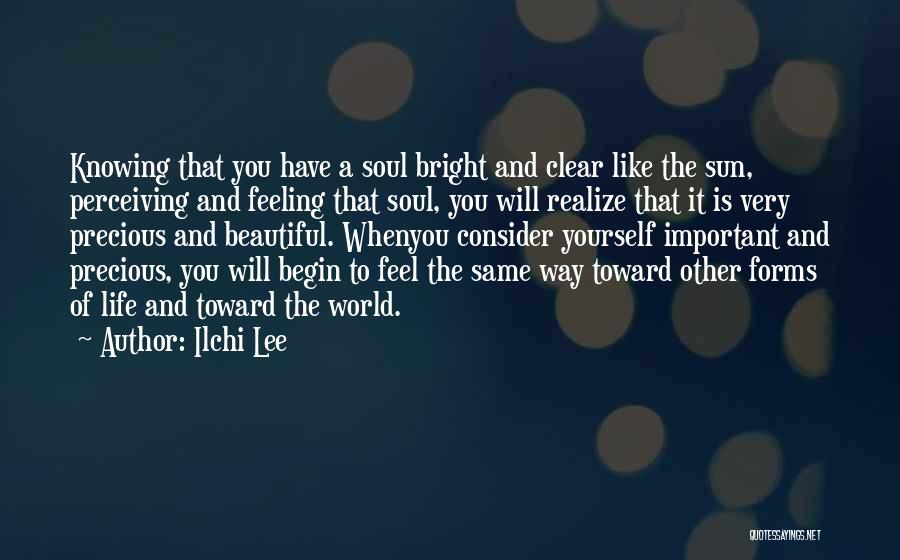 A Beautiful Soul Quotes By Ilchi Lee