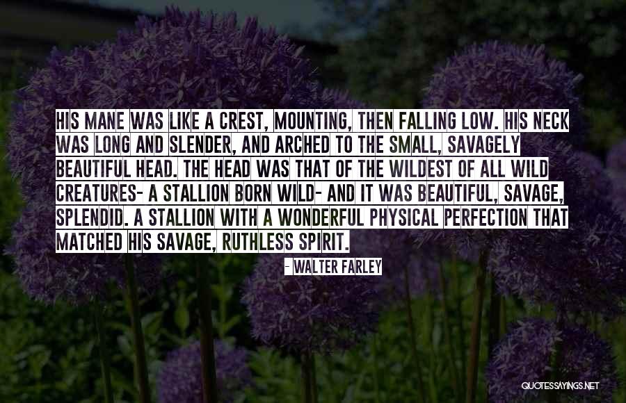 A Beautiful Spirit Quotes By Walter Farley A Beautiful Spirit Quotes By Walter Farley