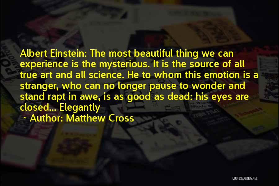 A Beautiful Stranger Quotes By Matthew Cross