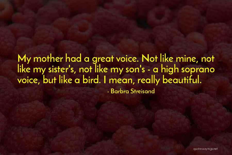 A Beautiful Voice Quotes By Barbra Streisand