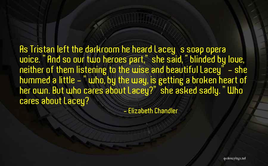 A Beautiful Voice Quotes By Elizabeth Chandler