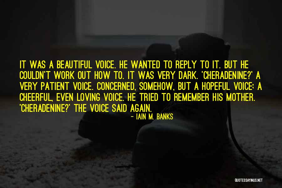 A Beautiful Voice Quotes By Iain M. Banks