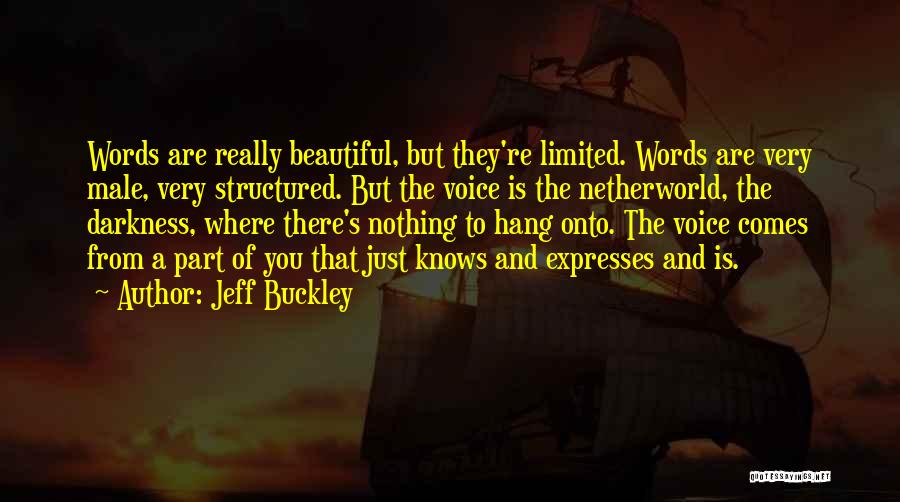 A Beautiful Voice Quotes By Jeff Buckley