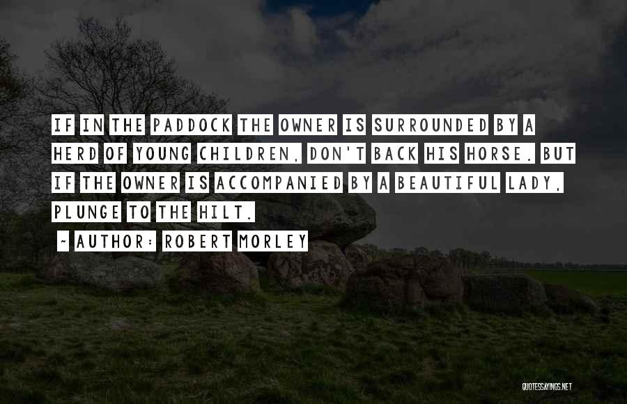 A Beautiful Young Lady Quotes By Robert Morley
