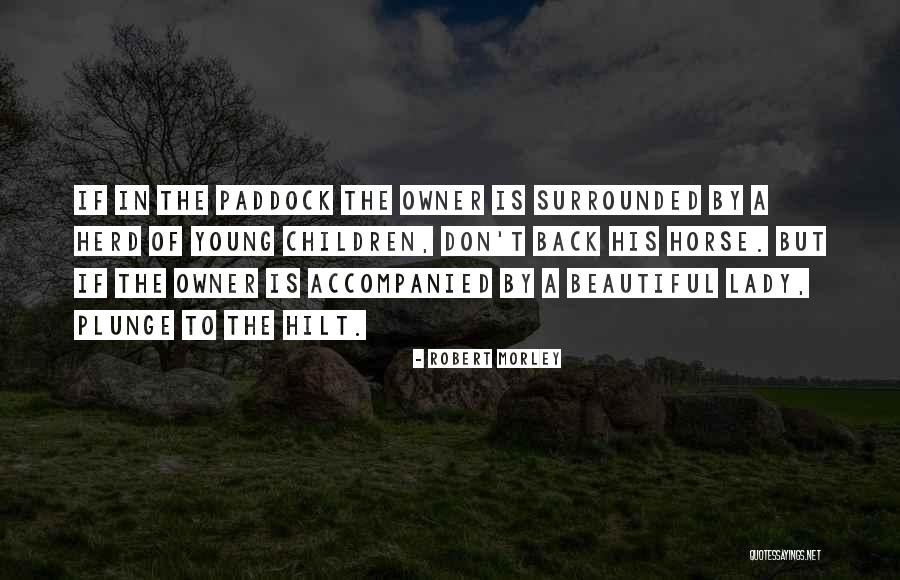 A Beautiful Young Lady Quotes By Robert Morley A Beautiful Young Lady Quotes By Robert Morley