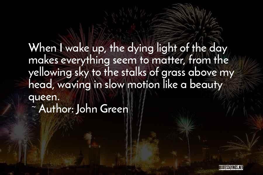 A Beauty Queen Quotes By John Green