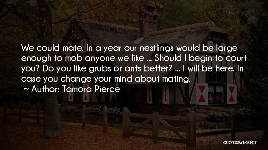 A Better Change Quotes By Tamora Pierce