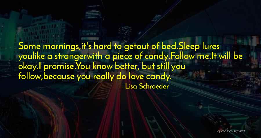 A Better Love Quotes By Lisa Schroeder