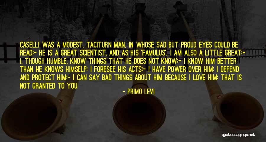 A Better Love Quotes By Primo Levi