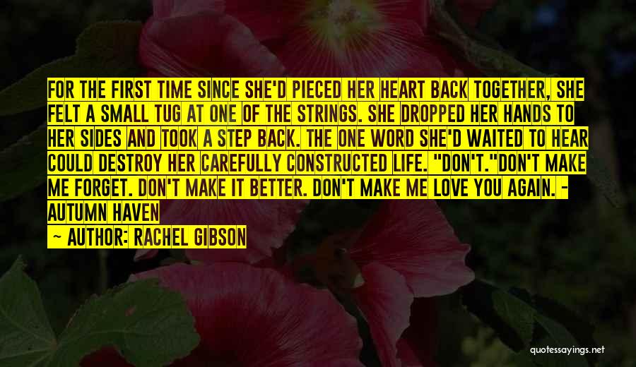 A Better Love Quotes By Rachel Gibson