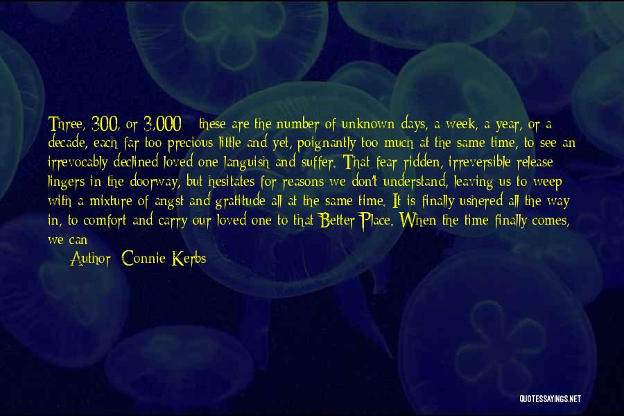 A Better Year Quotes By Connie Kerbs