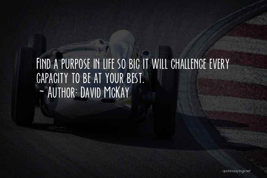 A Big Challenge Quotes By David McKay