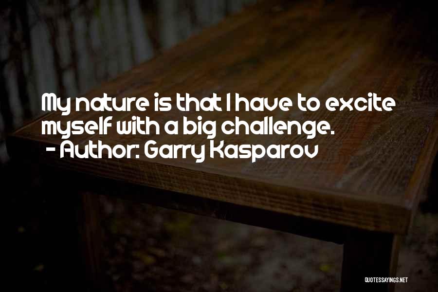 A Big Challenge Quotes By Garry Kasparov