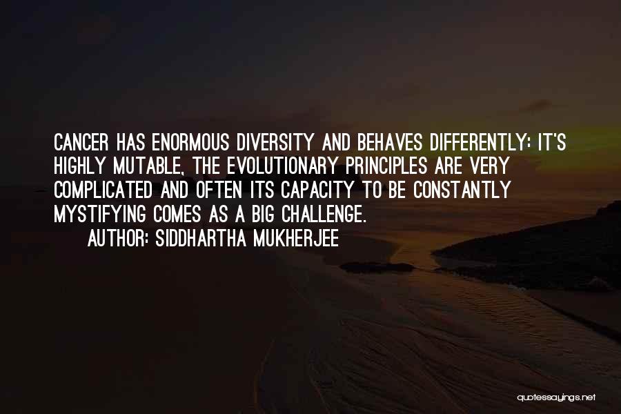 A Big Challenge Quotes By Siddhartha Mukherjee