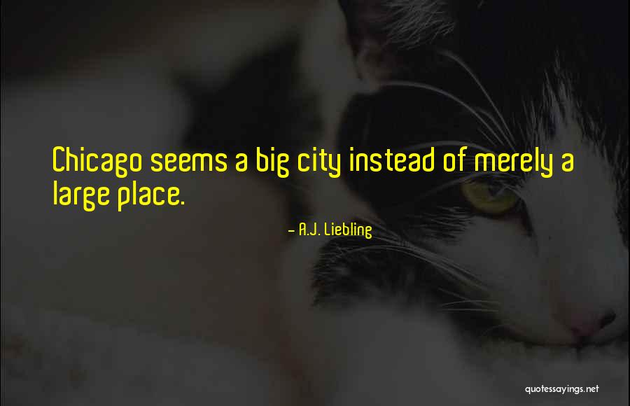 A Big City Quotes By A.J. Liebling