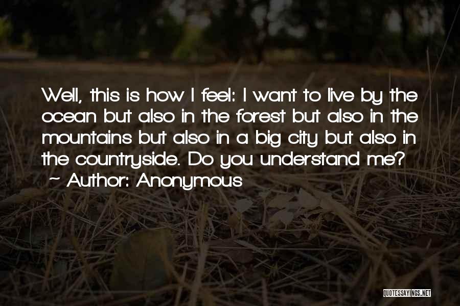 A Big City Quotes By Anonymous