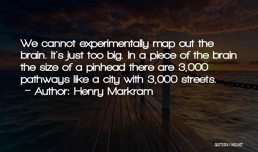 A Big City Quotes By Henry Markram